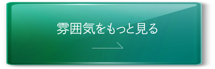 公式webサイト遷移用ボタン画像